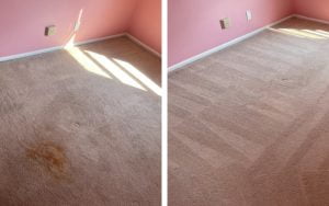 carpet stain treatment