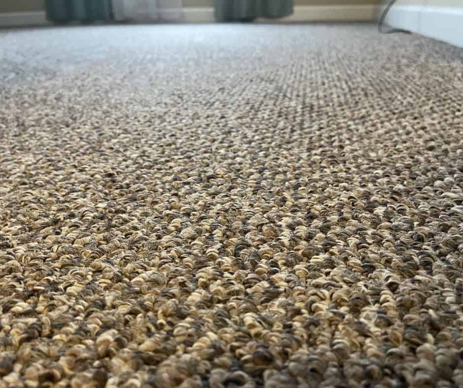 professional carpet cleaning for apartments