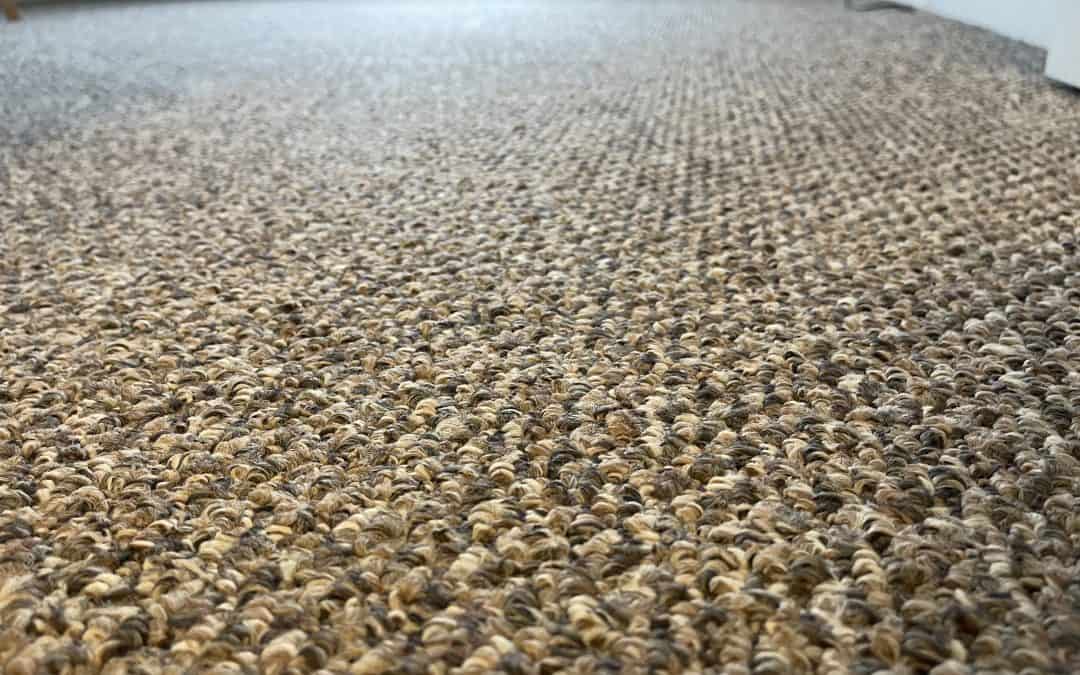 carpet cleaning professional vs diy