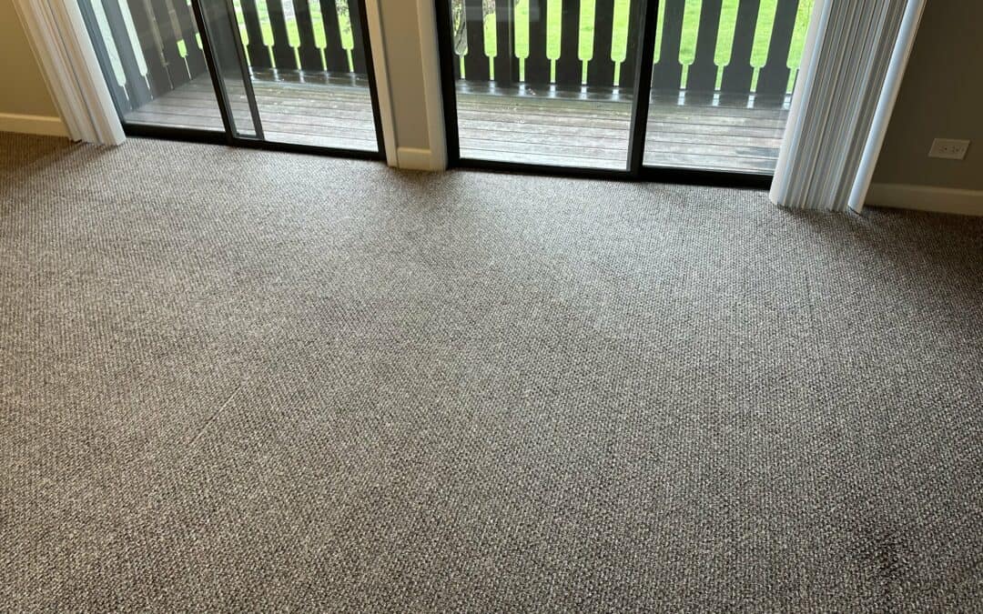 The Ultimate Summer Guide to Keeping Your Carpet Clean in Wheeling, IL